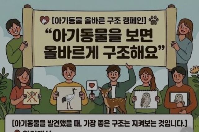 경기도 "어린 야생동물을 발견했다면 먼저 야생동물구조센터에 연락해주세요"