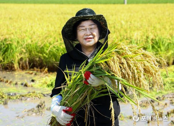 이른 추석 대비 임금님표 이천햅쌀 본격적 수확(김경희 시장)