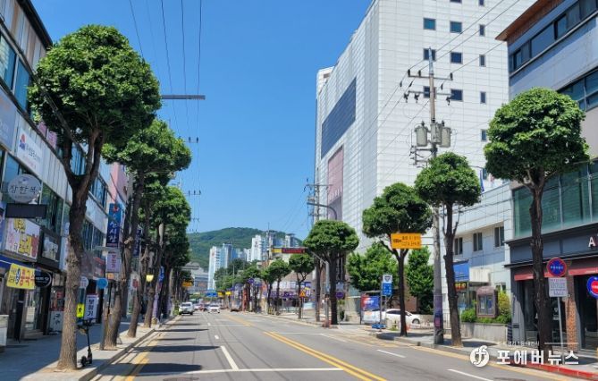명품 가로수길(은행나무 가로수 수형조절)