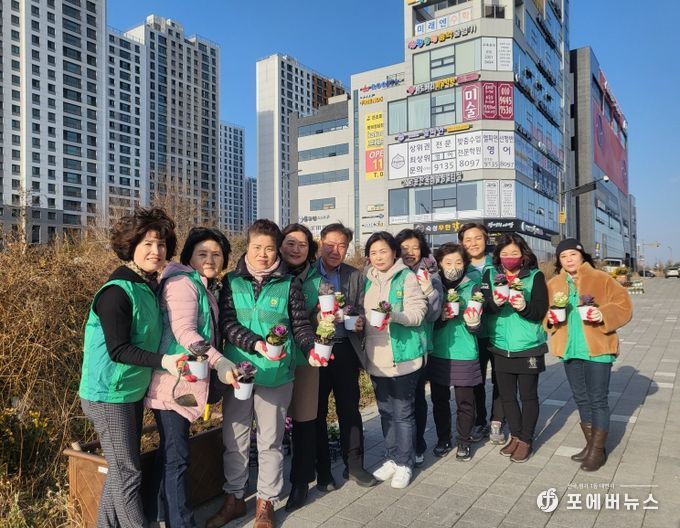 평택시 동삭동 새마을부녀회, 꽃양배추 심기 행사