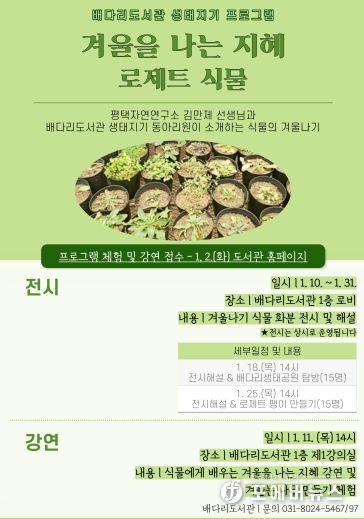자연에게 배우는 겨울을 나는 지혜