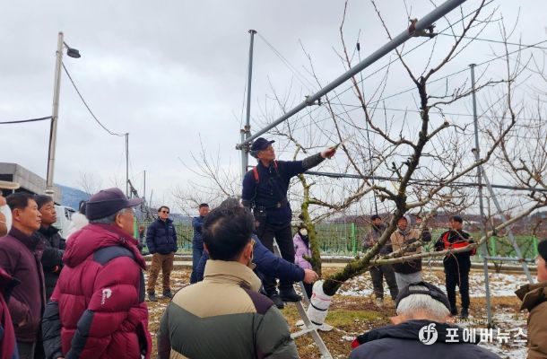 복숭아 동계전정 현장실습 교육 실시
