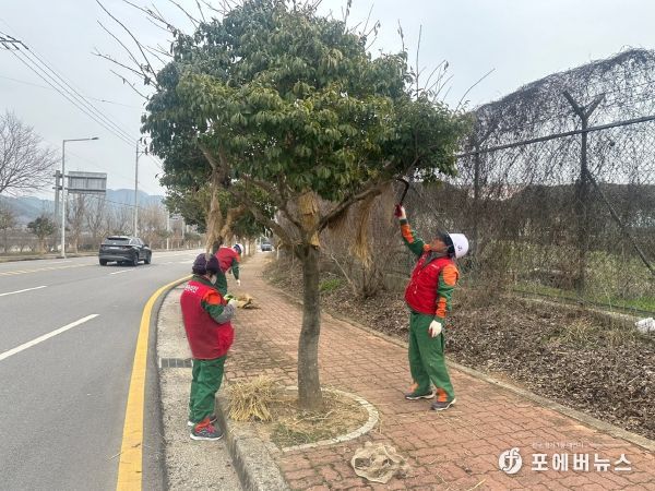 장흥군, 경관조성 녹지관리 본격 돌입