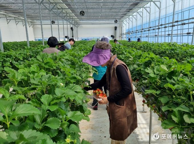 남양주시농업기술센터, 치매환자 및 돌봄가족 대상 ‘실버세대 인지건강 치유농업 프로그램’운영