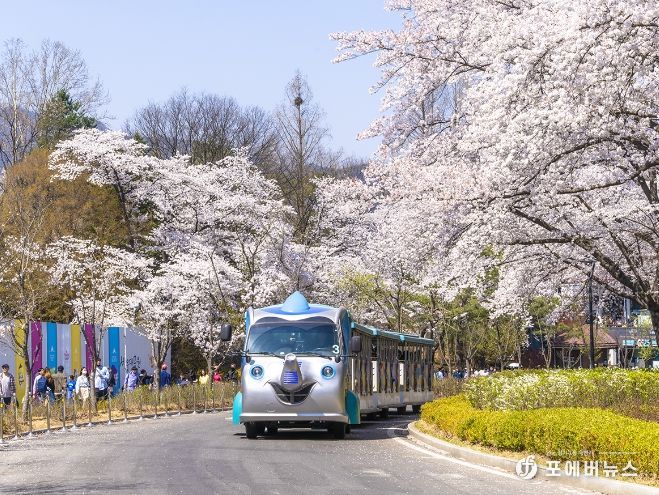 서울대공원에서 운행중인 코끼리열차