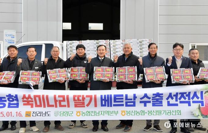 담양 딸기, 베트남으로 올해 첫 수출 시작