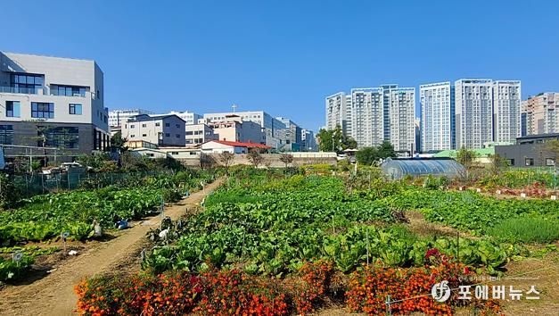 하남시, 공공텃밭 분양…“흙 내음 속에서 행복을 키우세요”