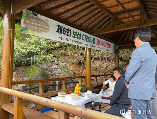 430여 년 역사를 지닌 고차수에서 되살아난 차 문화, 보성군 ‘제6회 다전마을 고차수 다신제’ 개최_지난 23일 득량 다전마을 고차수와 인근 야생차밭 일원에서 ‘제6회 다전마을 고차수 다신제’를 개최했다