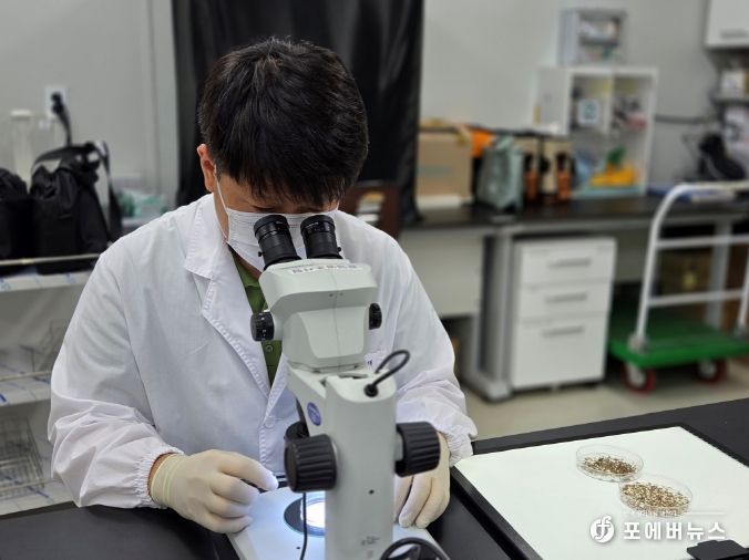 일본뇌염 매개모기 분류