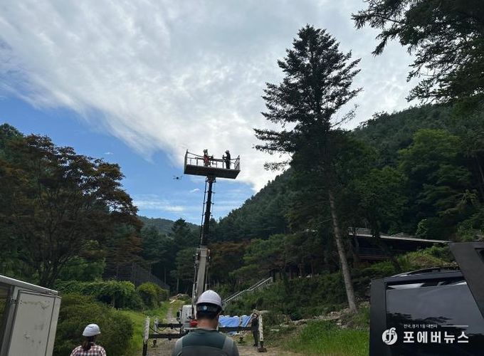 제출사진