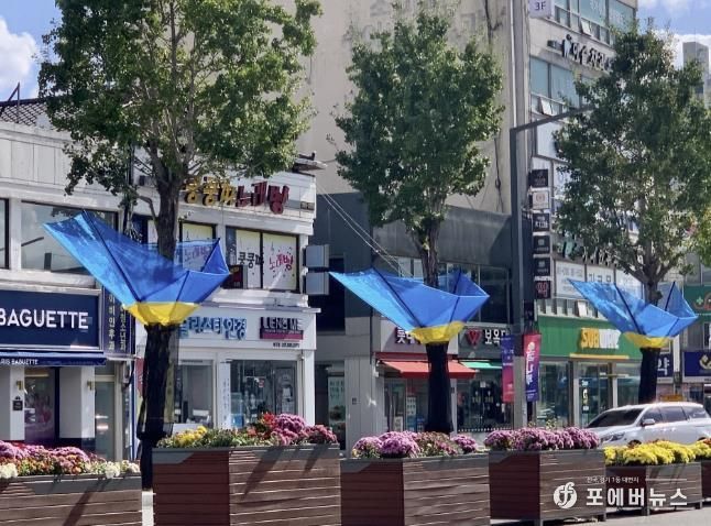 여주시, 은행나무 열매 악취 STOP!