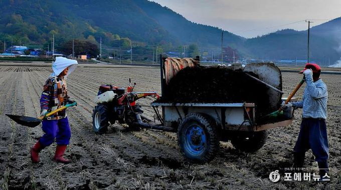 퇴비 살포 사진