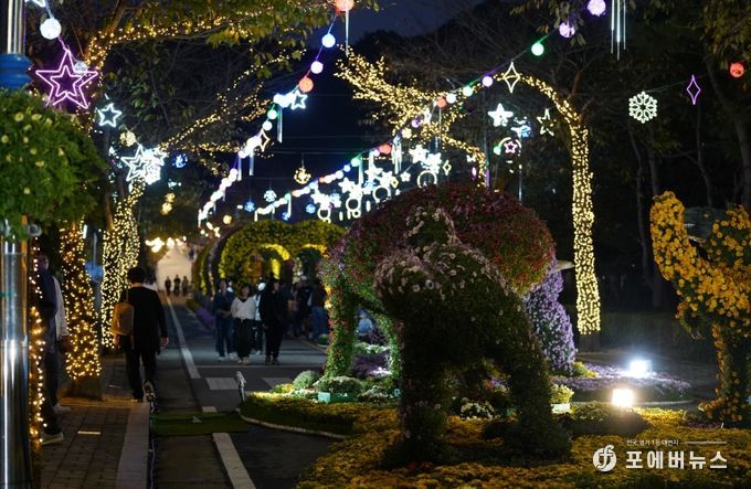 해남미남축제 즐길거리 (국화향연)