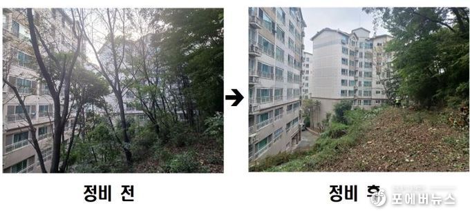 동작구 사당유니드아파트 ‘위험 수목 정비’ 전후 사진