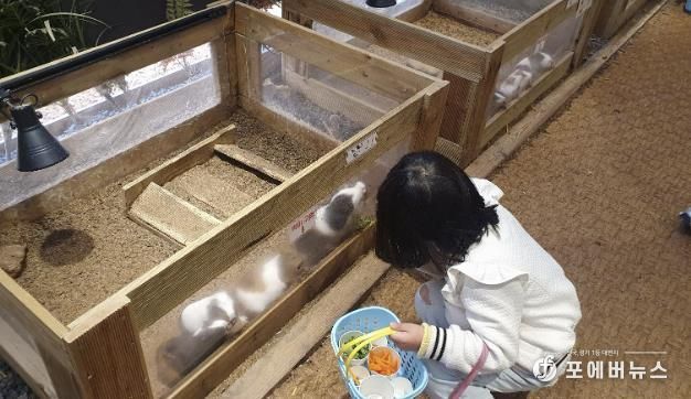 굼프로 곤충체험학습장