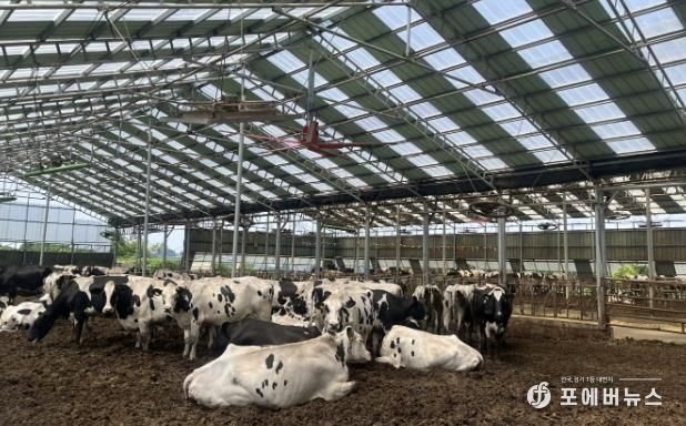 2025년 낙농육우산업 경쟁력 강화사업으로 대형환풍기 설비를 지원받은 축산농가 모습