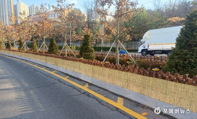 겨울철 강풍·한파 대비 가로녹지 보호 작업