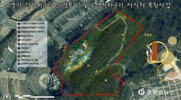 안양시, 병목안시민공원 맹꽁이・오색딱따구리 서식처 복원…국비 4.4억 확보