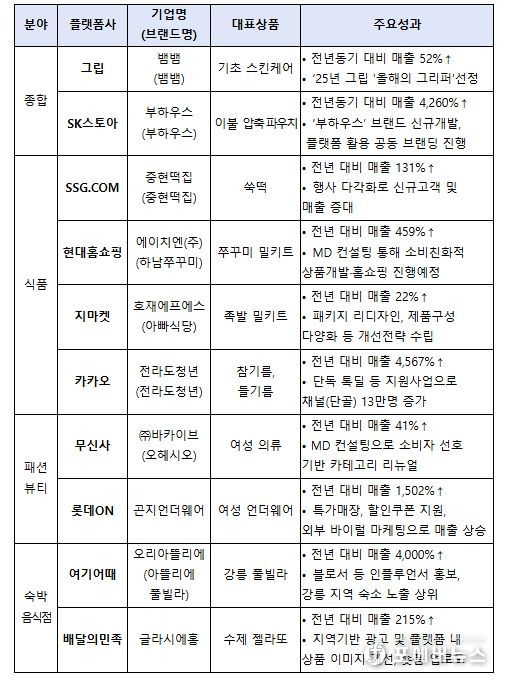 플랫폼사별 우수 사례