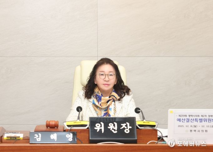 김혜영 예산결산특별위원장