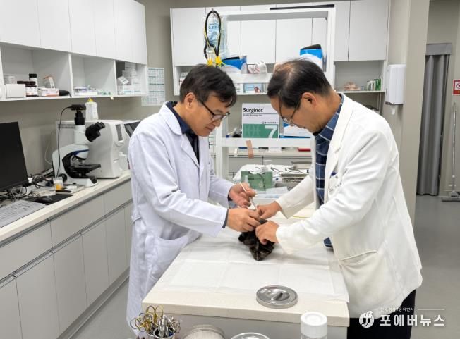 순천시반려동물문화센터 공공진료소에서 반려동물을 진료하고 있는 모습