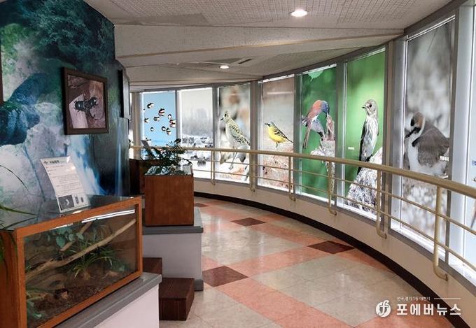 추운겨울도상관없는군산실내여행지4선(금강미래체험관2)