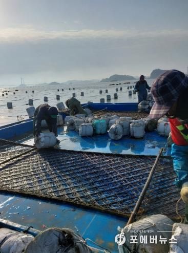 수산산업과김양식계절근로자모집