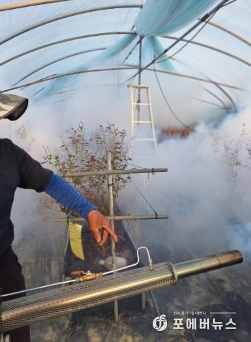 담양군, 봄철 ‘마을 일제 방역’ 총력… 해충 조기 박멸 나선다