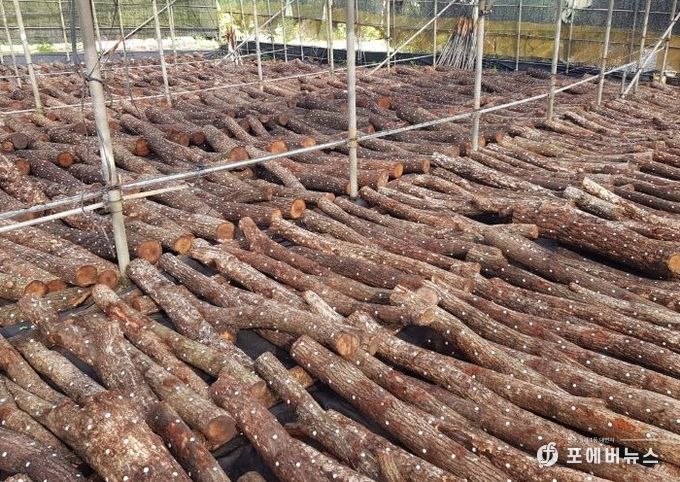 산림소득분야 보조사업