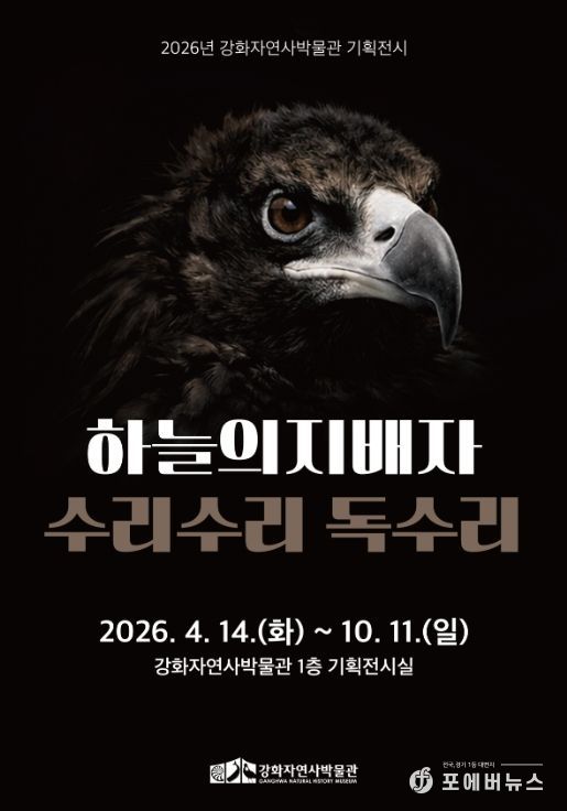 강화도 하늘의 지배자 ‘독수리’ 전시로 만난다